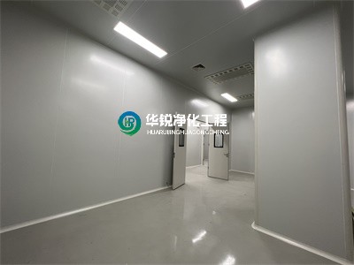 凈化工程中的特點？